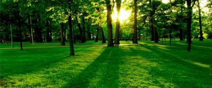 環(huán)境損害與其他鑒定